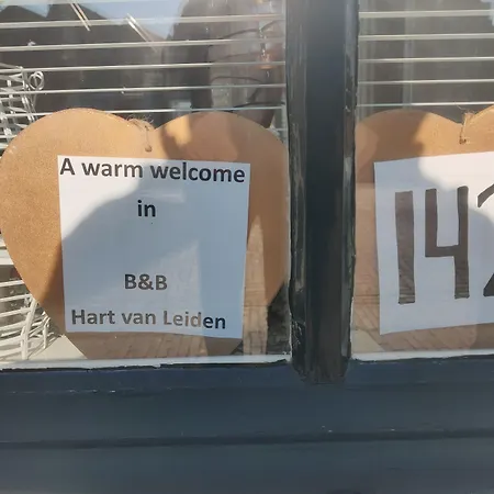 Hart 3* Leiden